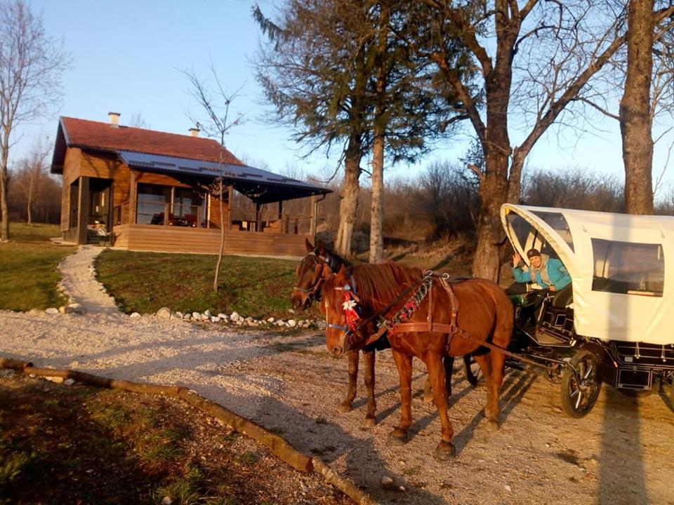 Evergreen House Plitvice